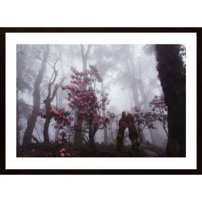 Through The Fog Poster