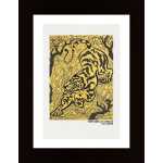 Tigre Dans Les Jungles Poster Poster