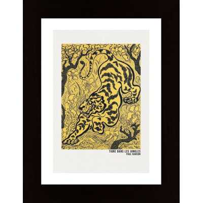 Tigre Dans Les Jungles Poster Poster