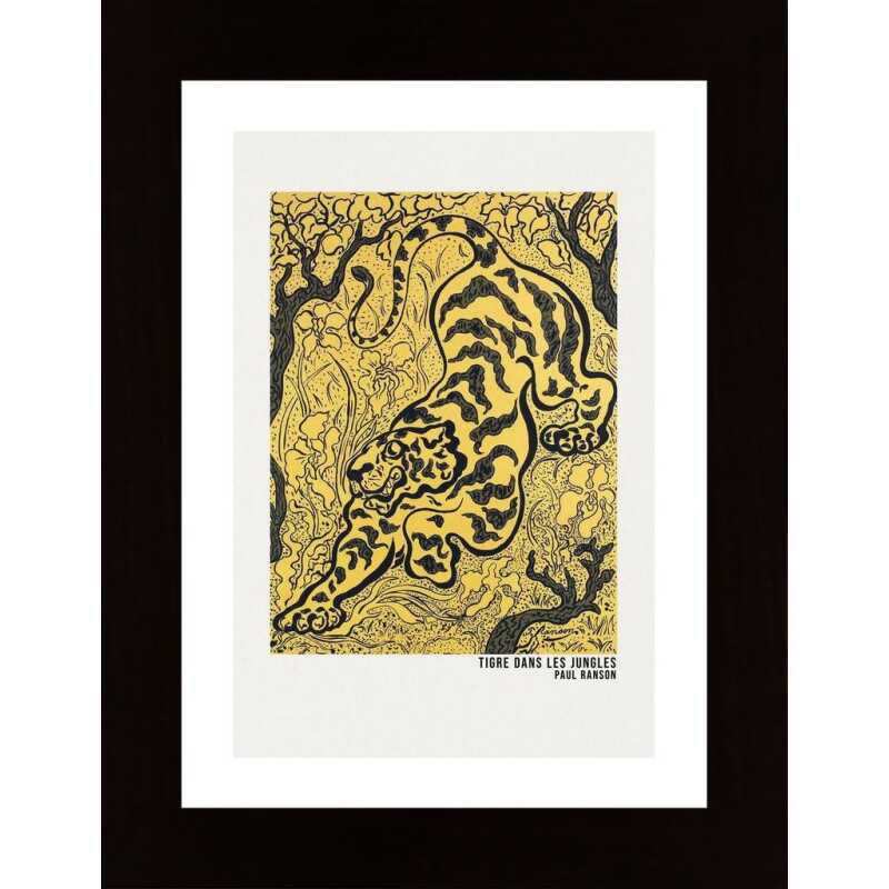 Tigre Dans Les Jungles Poster Poster