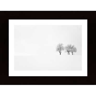 Tree And Silence Poster