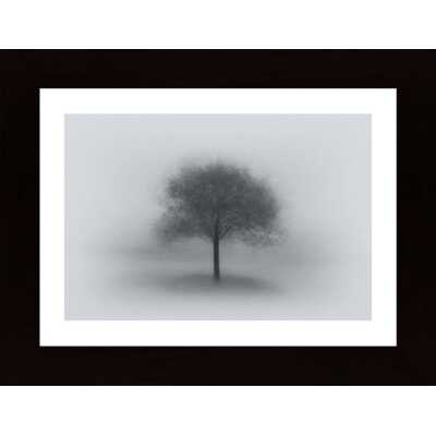 Tree In Fog Poster