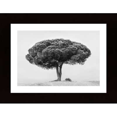 Tree Poster