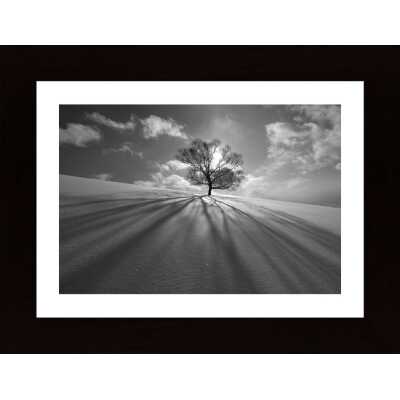 Tree Shadow Poster