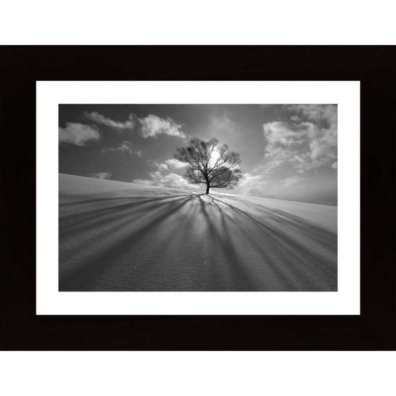 Tree Shadow Poster
