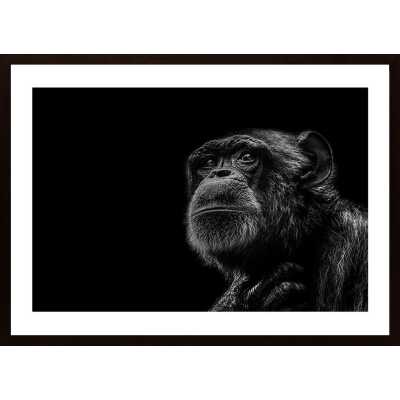 Trepidation Poster