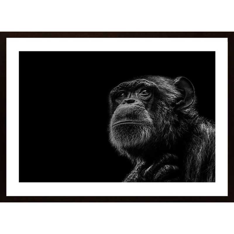 Trepidation Poster