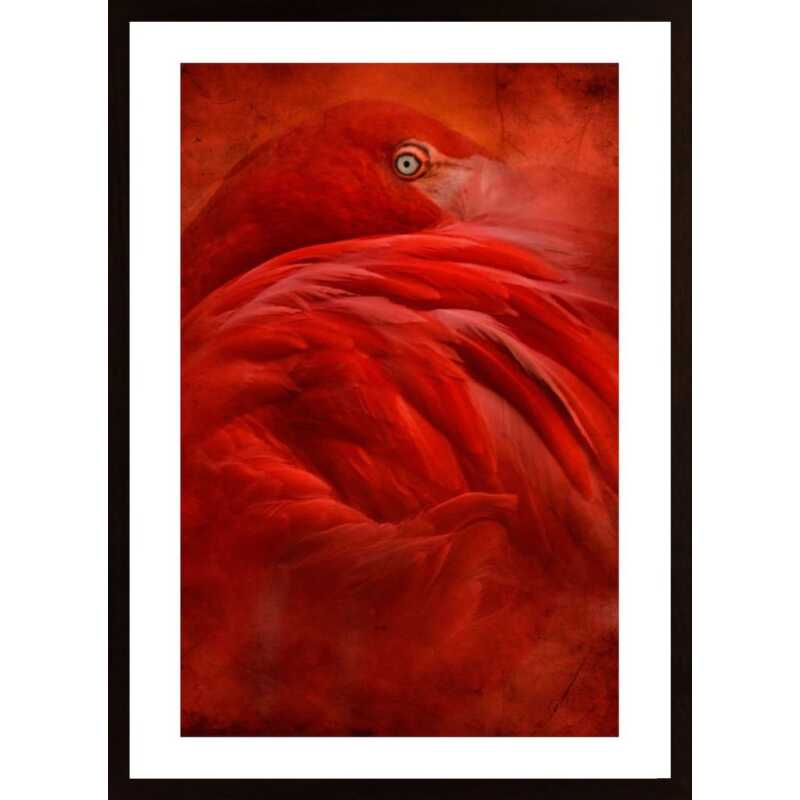 Tropical Poster