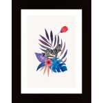 Tropical Zebra Poster