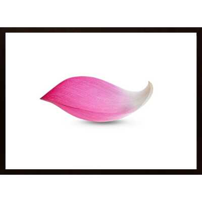 Tulip Leaf Poster