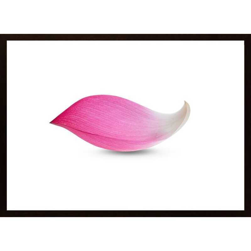 Tulip Leaf Poster