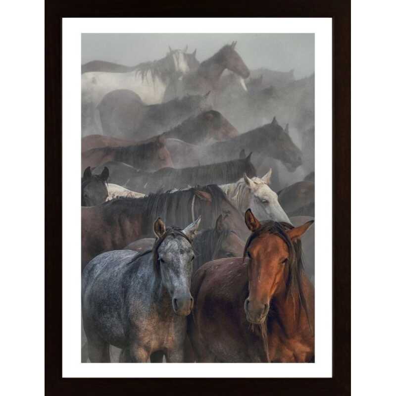 Two Horses Poster