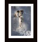 Two Horses Poster