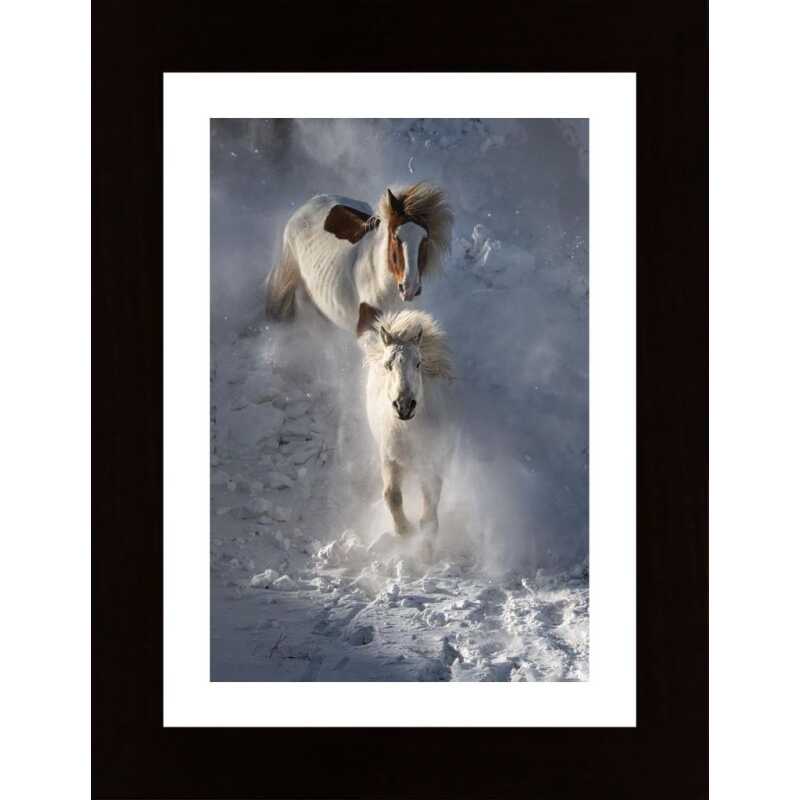 Two Horses Poster