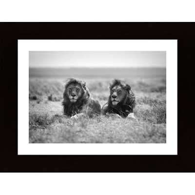 Two Kings Poster
