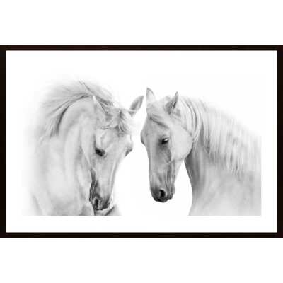 Two White Beautiful Horses Poster