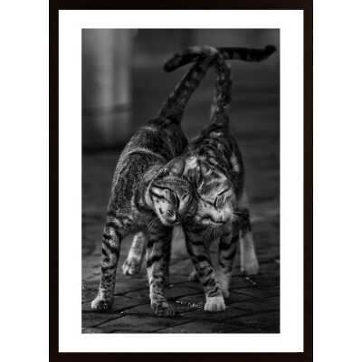 Untitled Poster