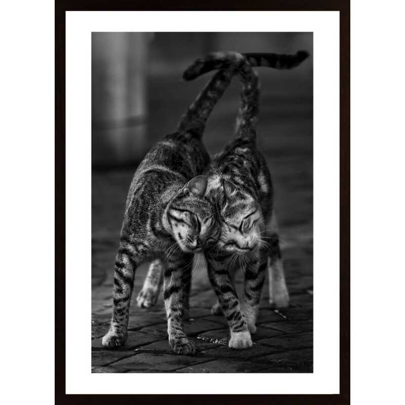 Untitled Poster