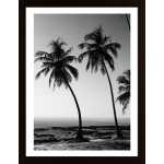 Vacations Black & White Poster