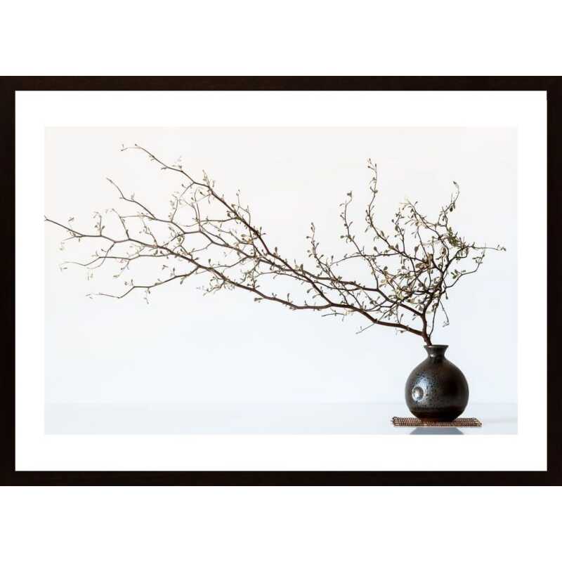 Vase And Branch Poster