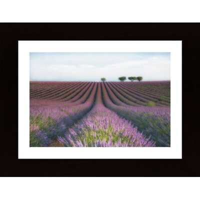 Velours De Lavender Poster