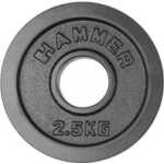 Viktskiva internationell Hammer 2,5 kg