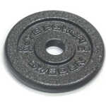 Viktskiva metall, JTC Power, 25 mm, 2 x 1,25 kg