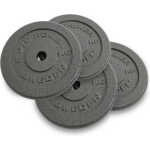 Viktskivor Metall 25 mm, 4 x 5 kg, JTC Power