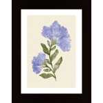 Vintage Flower Poster