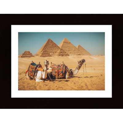 Visit To The Pyramids Poster