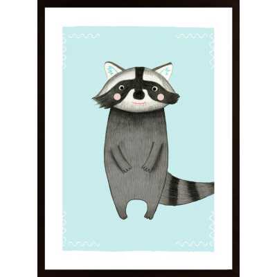 Waschbär Poster