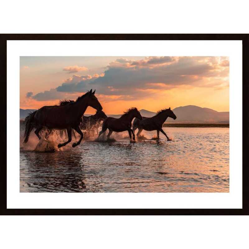Water Horses Poster