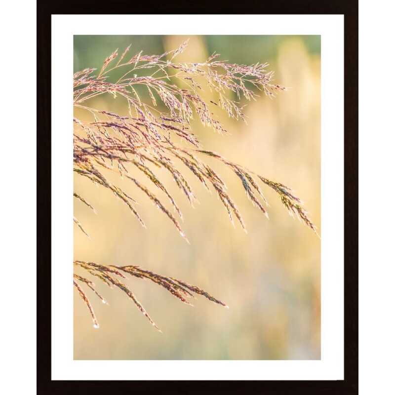 Wet Plant Poster