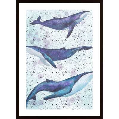 Whale Underwater Poster