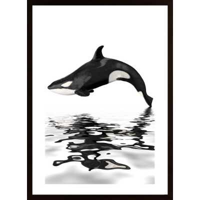 Whale With Reflection Poster