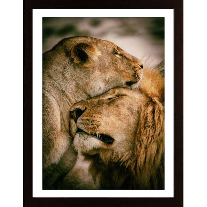What Is Love Poster