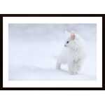 White As Snow Poster