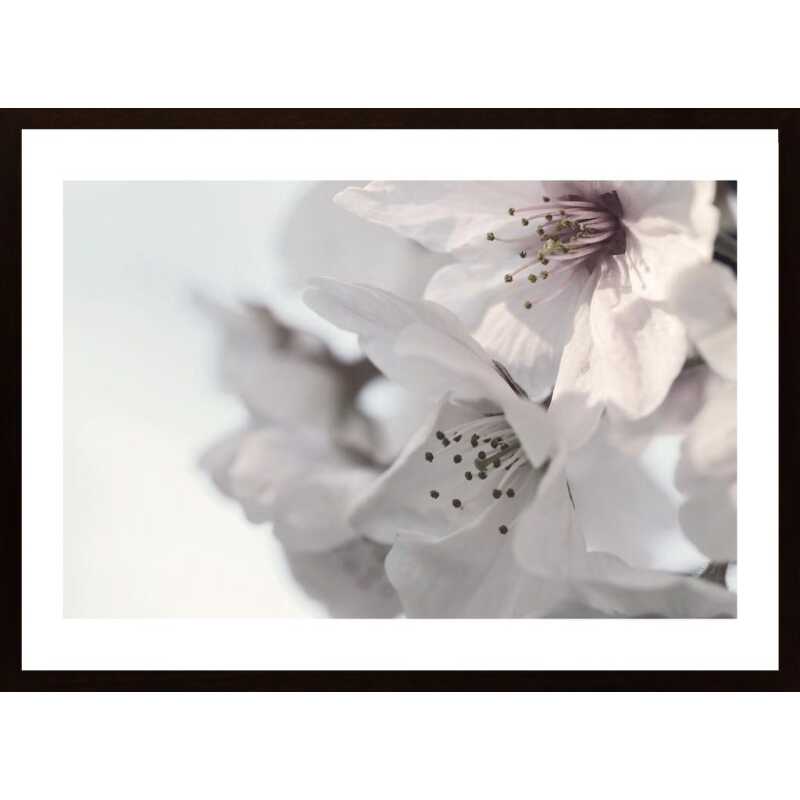 White Flowers Poster