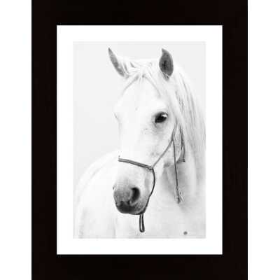 White Horse Poster