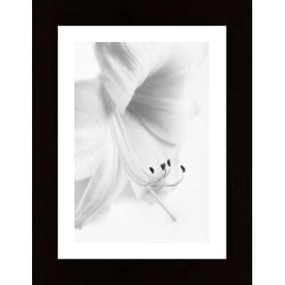 White On White Poster