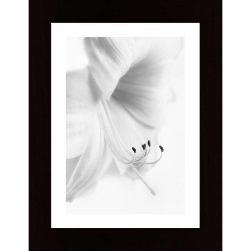 White On White Poster