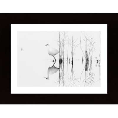 White Poster