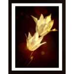 White Tulips Poster