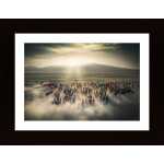 Wild Horses Poster