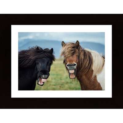 Wild Smile Poster