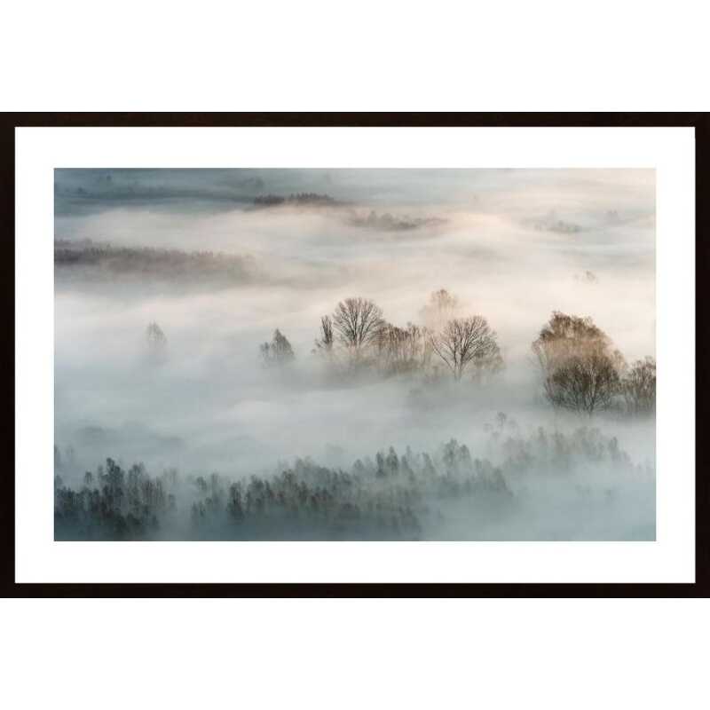 Winter Fog Poster