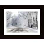Winter Road Poster