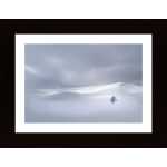 Winter Solitude 7142 Poster