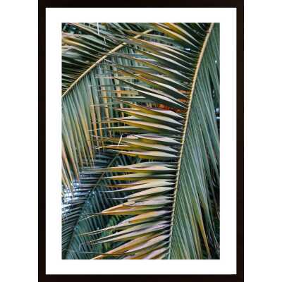Yellow Green Palm Poster