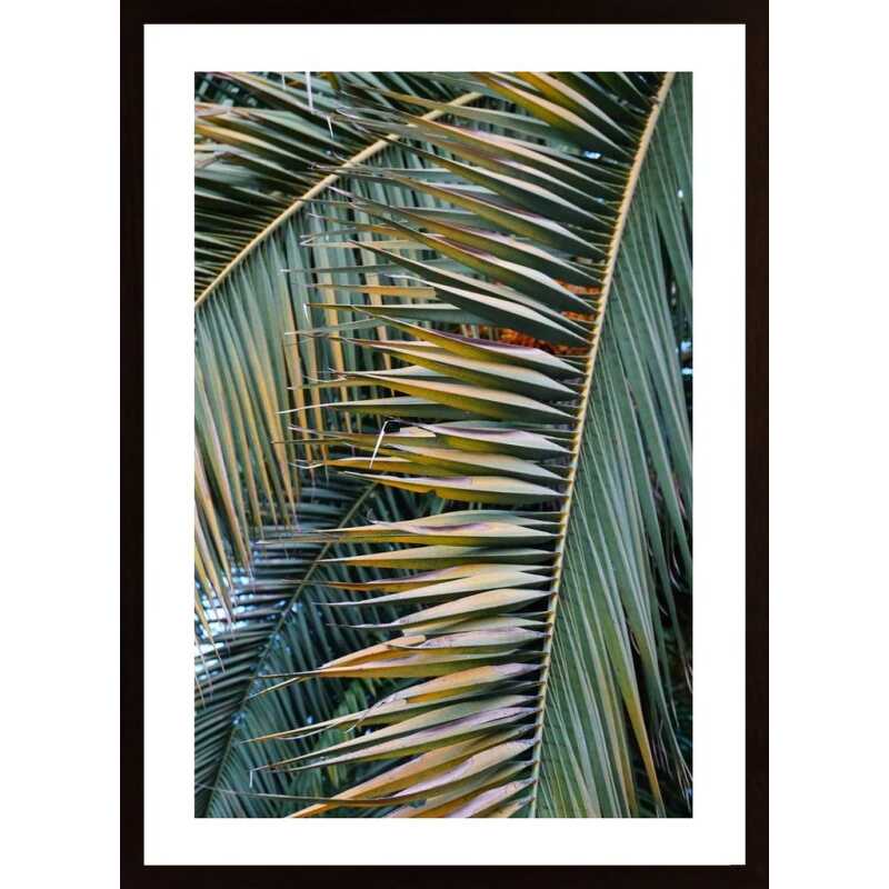 Yellow Green Palm Poster